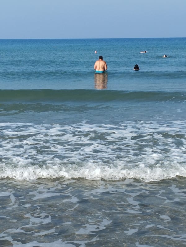 A laid-back beach morning with flowers and shoreline scenes