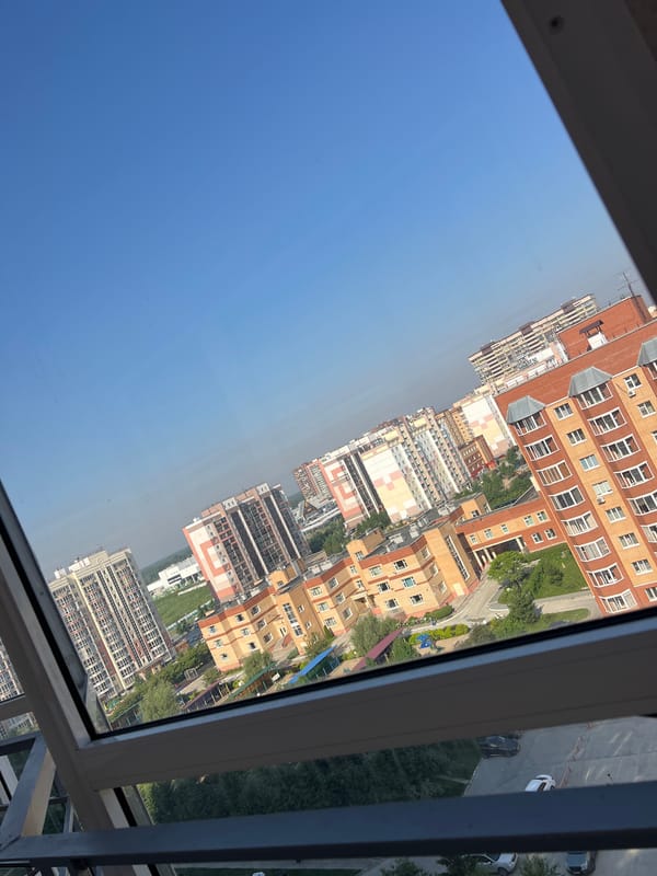 Cat and city views from a Novosibirsk apartment afternoon