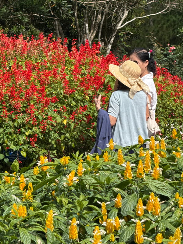 Da Lat cable cars and flower gardens on a cloudy afternoon
