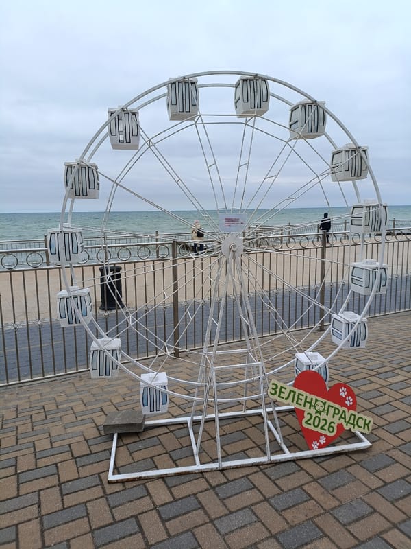 White Ferris wheel operates in Zelenogradsk with 2026 commemorative signage