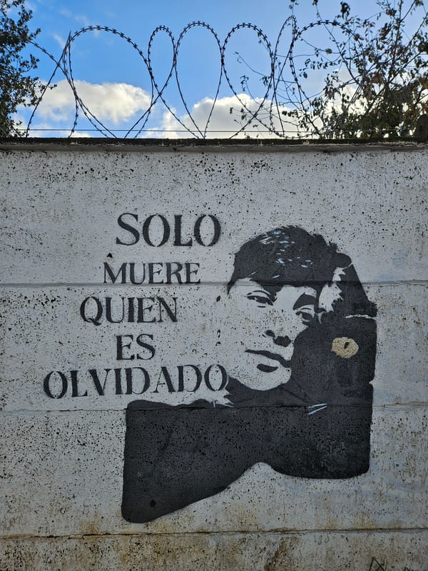 Street art documented on barbed wire-topped wall in Temuco