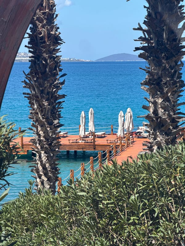 Coastal resort grounds captured in Bodrum, Turkey morning views