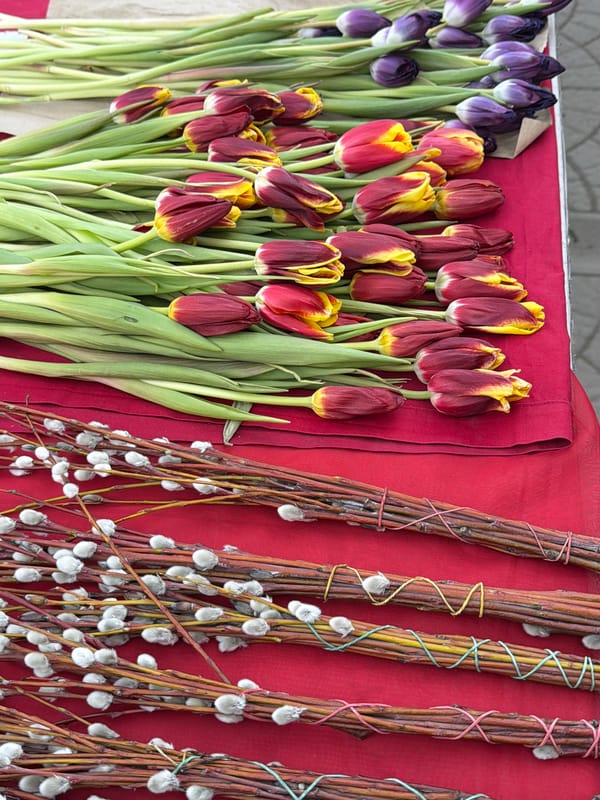 Tulips and willow branches sold at flower stall in Krasnoyarsk