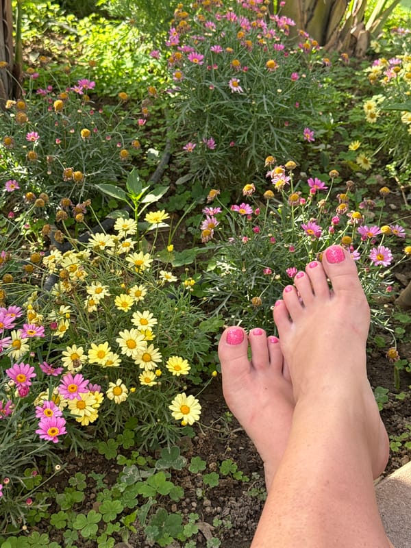 Quiet garden moments captured in Alanya's tropical setting