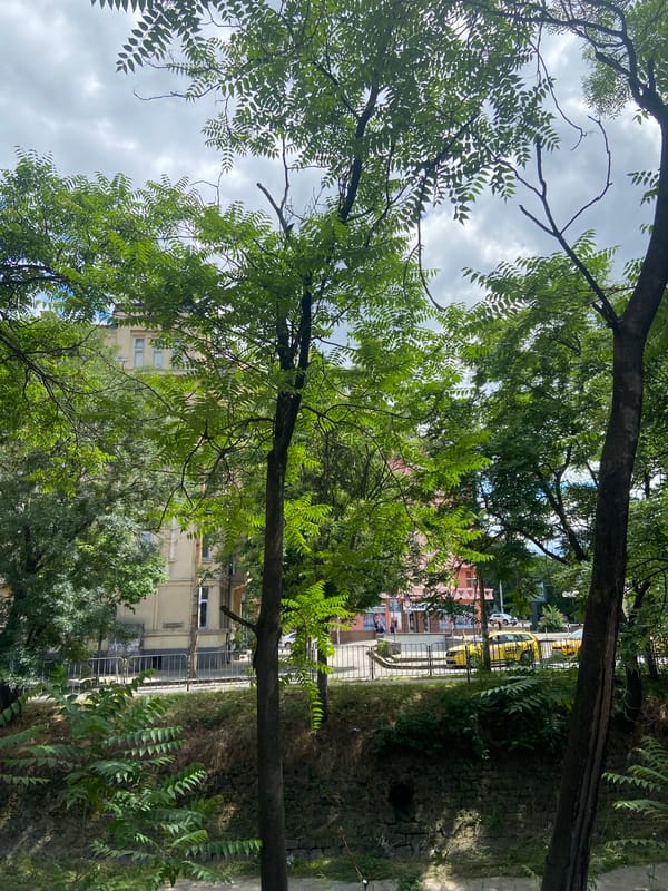Street scenes and selfie captured in Sofia, Bulgaria
