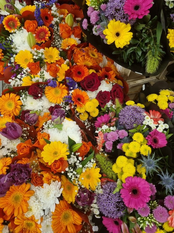 Flower shop displays documented near Stuttgart Hauptbahnhof station
