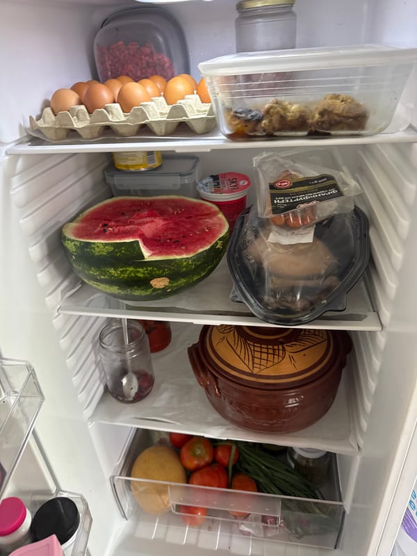Fridge raid and pantry tour in a Plovdiv home