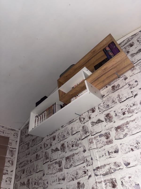 Wall-mounted bookshelf with purple books spotted in Bulgarian village