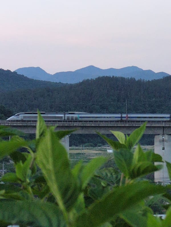 Modern train passes through blooming spring landscape in Iwon