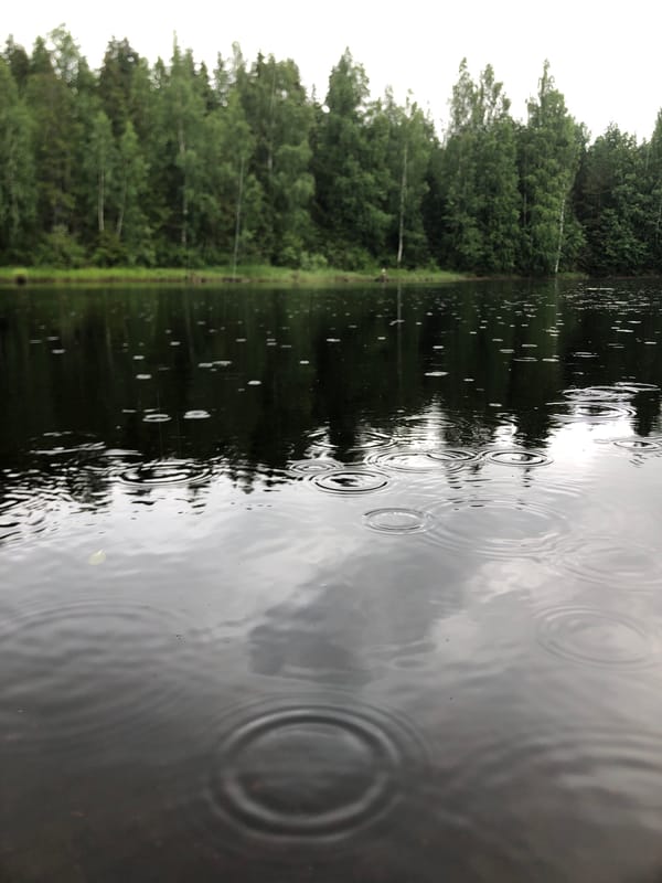 Rainy afternoon on a forested river in northwest Russia