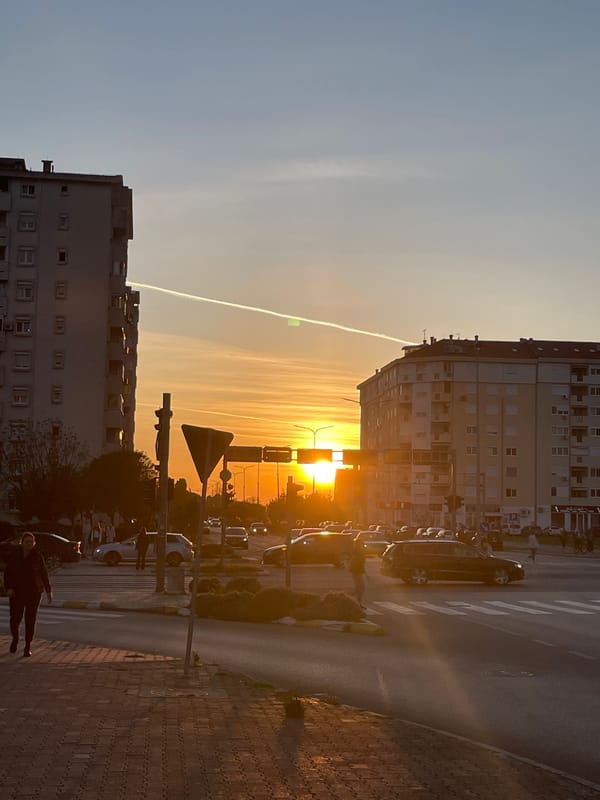 Reader enjoys literary moment during golden hour in Bar