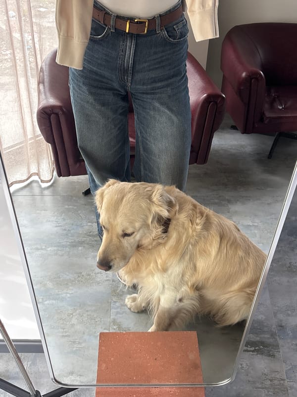 Woman and Golden Retriever take selfies together in Armenia