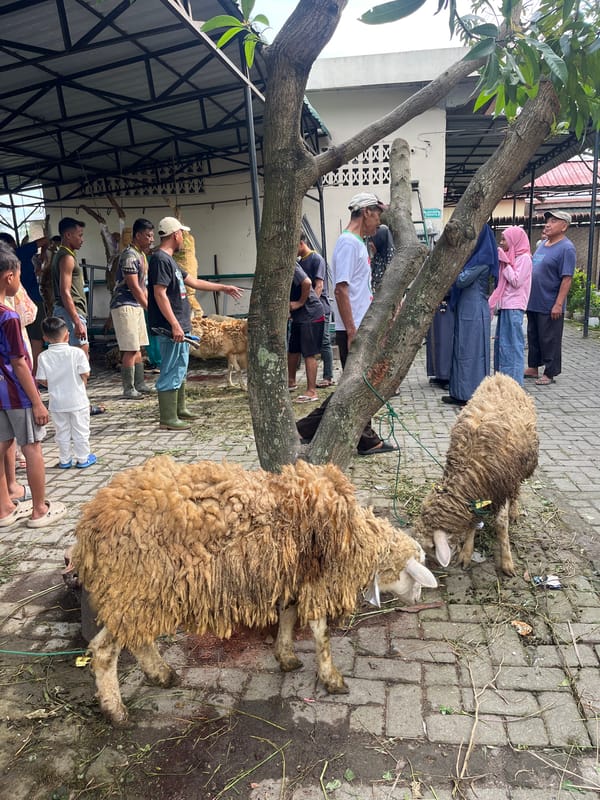 Ritual sheep slaughter documented in Paya Geli, Indonesia