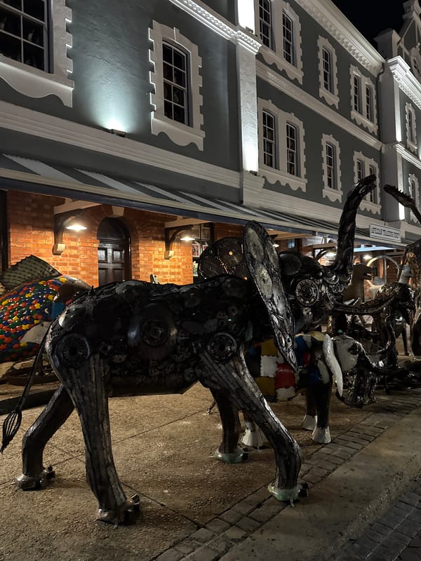 Evening tour of Cape Town landmarks and cultural sites documented