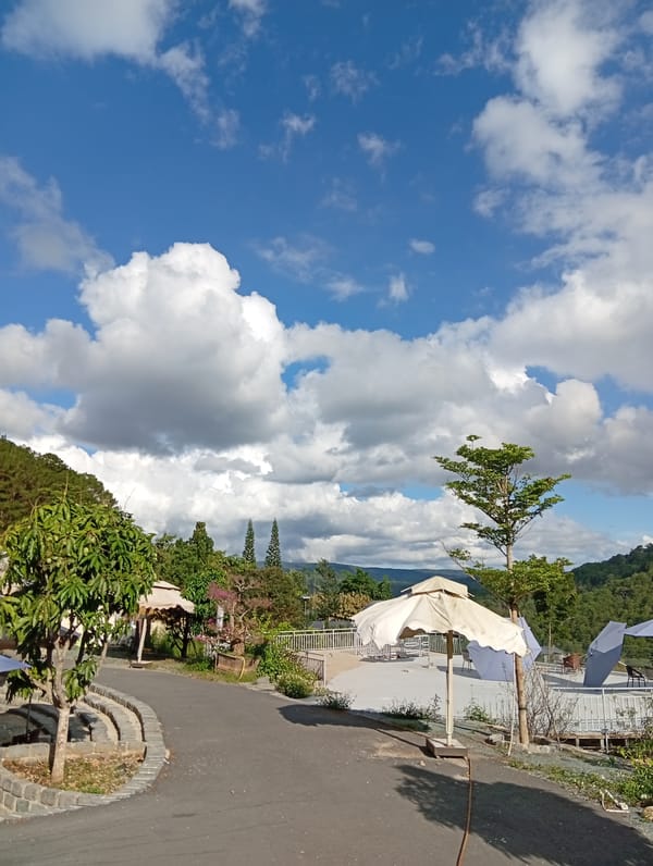 Tourist explores sculptural gardens and installations in Da Lat, Vietnam