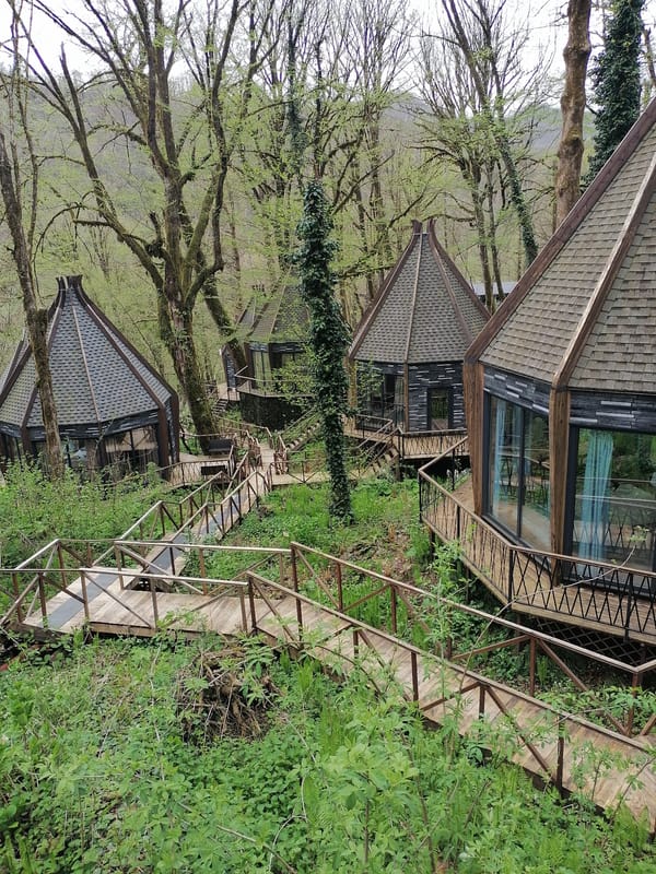 Forest cabins and spring wildflowers documented in Medoveevka