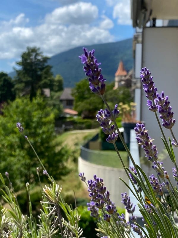 Sunny morning balcony scenes documented in Milvignes, Switzerland