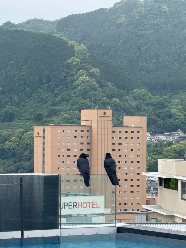 Peaceful Beppu moments: birds, pools, and boats at dawn
