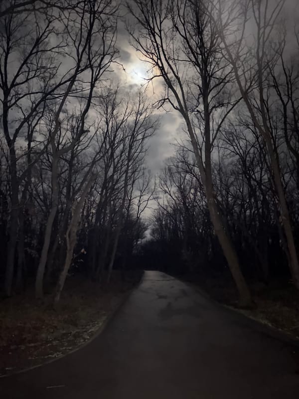 Cloudy moon visible through bare branches in Haskovo