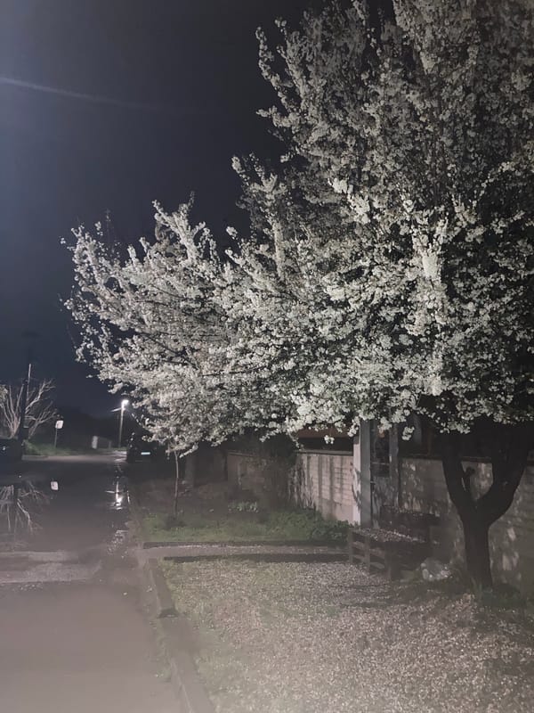 Spring night scenes documented in rural Kostievo, Bulgaria