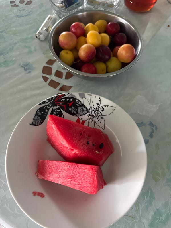 Lazy summer morning vibes and social content from Skrat