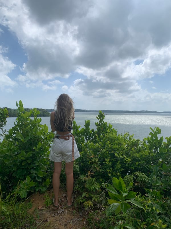 Wandering through jungle and waterfront in Kathaluwa, Sri Lanka