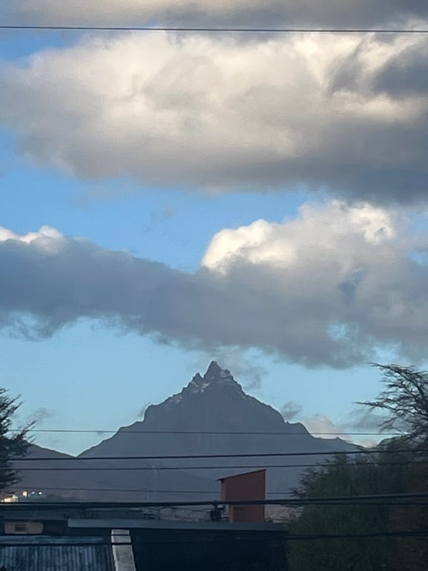 Afternoon sunlight captured through tree leaves in Ushuaia