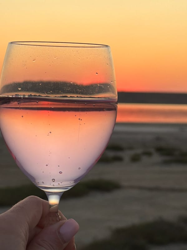 Rosé at sunset over the water in Odesa