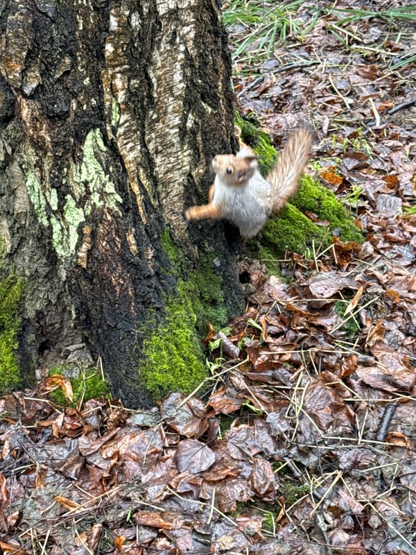 Morning breakfast routine captured in Rusanovo household