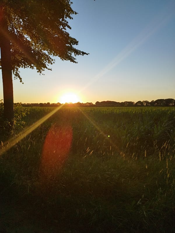 Golden hour wandering through rural Schiffdorf on a summer evening