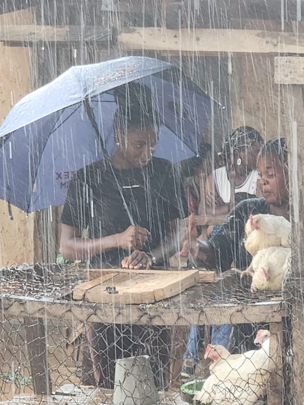 Sabon Tasha market stays busy through a heavy afternoon rain