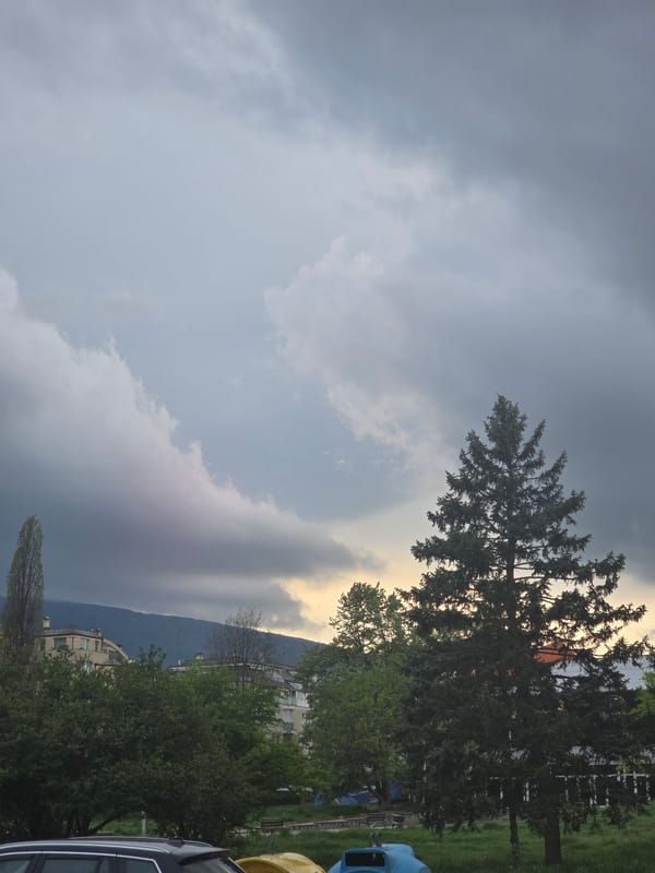Everyday moments documented across Sofia during afternoon hours