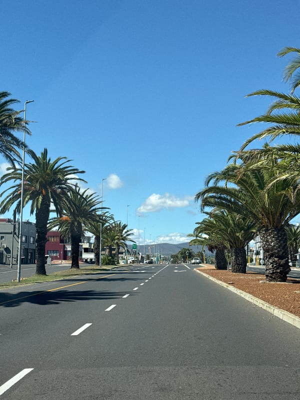 Palm trees cast shadows on Blouberg street under clear skies