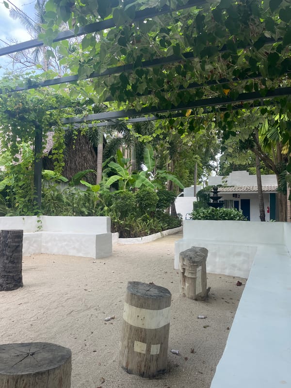 Ko Pha-ngan beachfront resort grounds, early morning.