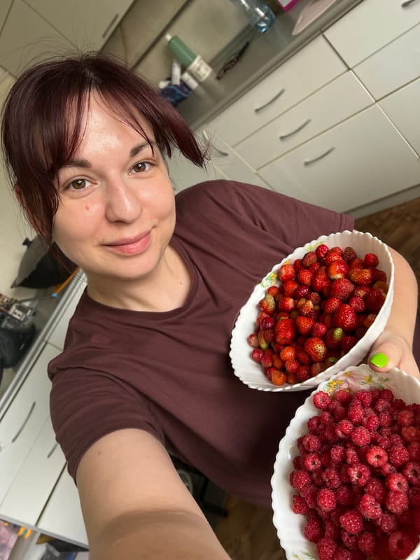 Fresh raspberry and strawberry haul in a Russian backyard