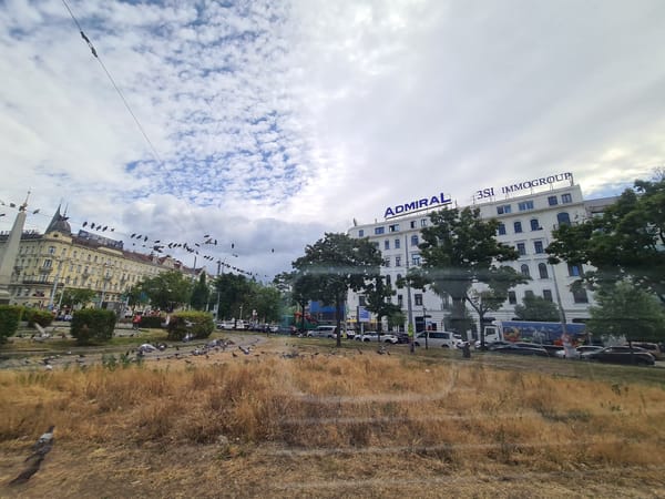 Vienna's tram network and street life, a July morning