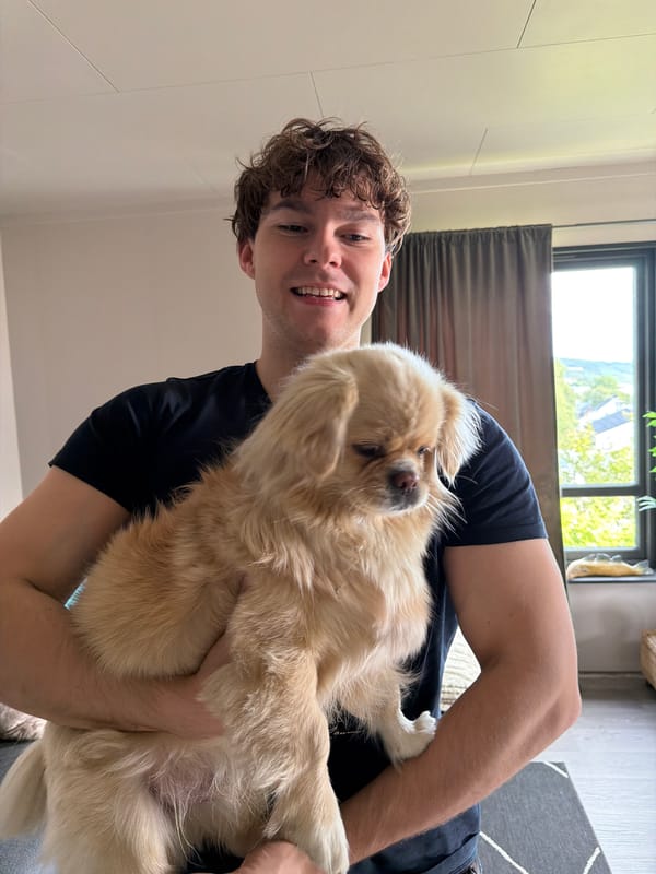 Quiet morning at home in Harstad with a fluffy dog