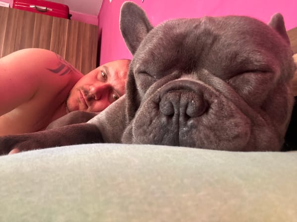 Man and French Bulldog share quiet moment in Bulgarian home