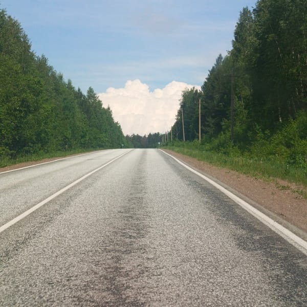 Forest road documented in Chaikovsky, Russia