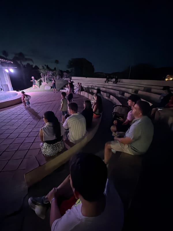 Live performance and dinner event in Cardedu, Sardinia
