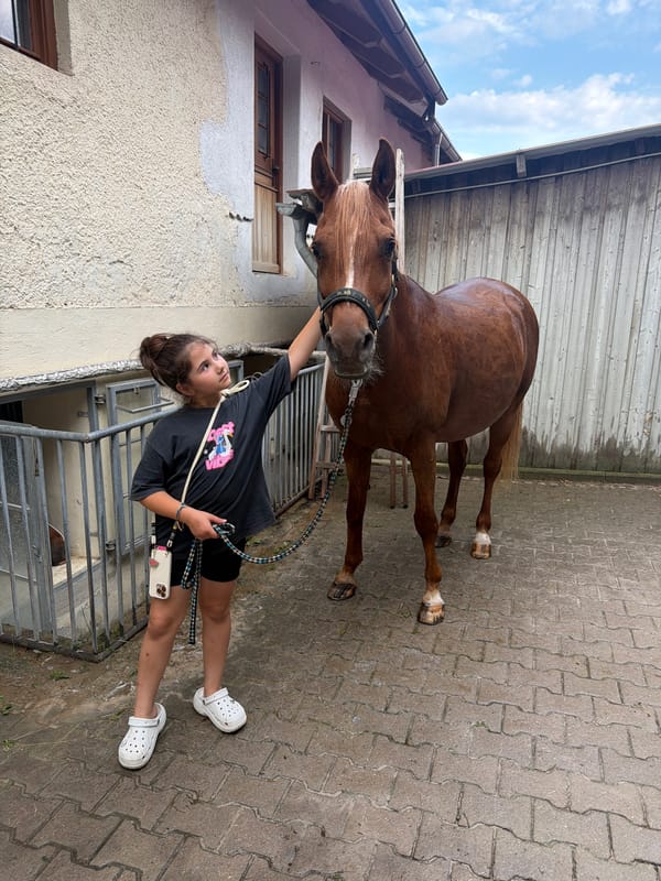 Quiet moment with a brown horse in Anzing, Germany