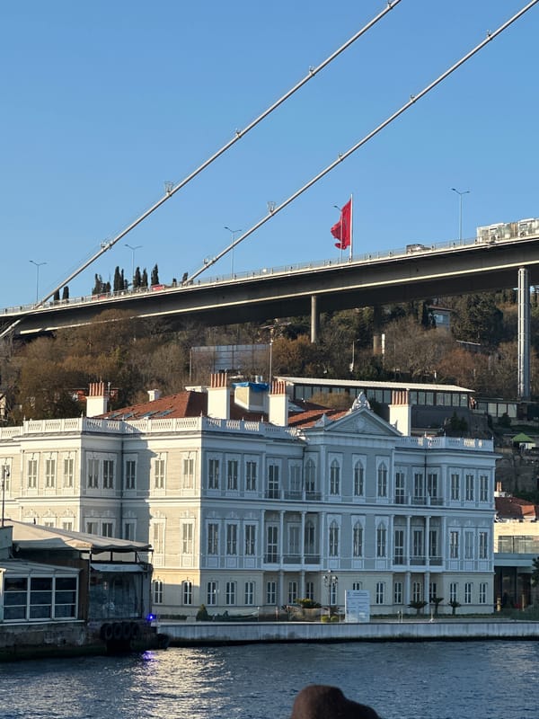 Everyday street life captured around Istanbul's Ortaköy Mosque