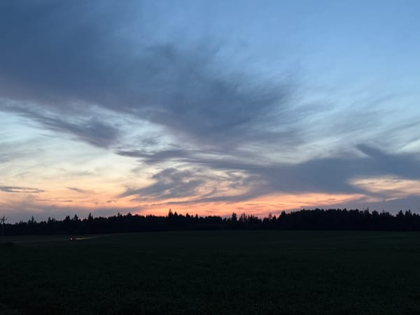 Twilight over fields and forest in rural Russia