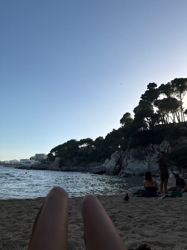 Rocky Costa Brava coastline, Mediterranean views, late June afternoon
