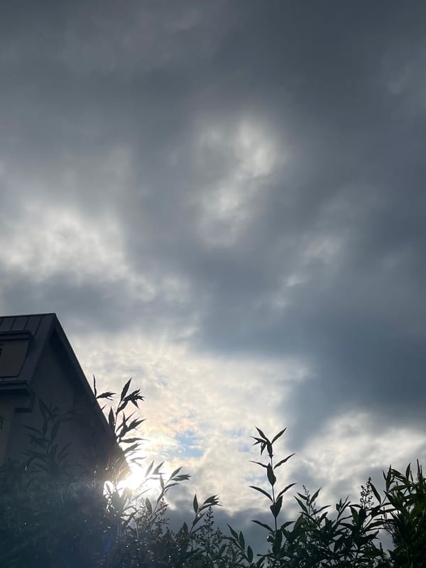 Hour-long documentation captures urban afternoon skies, flowers, street scenes
