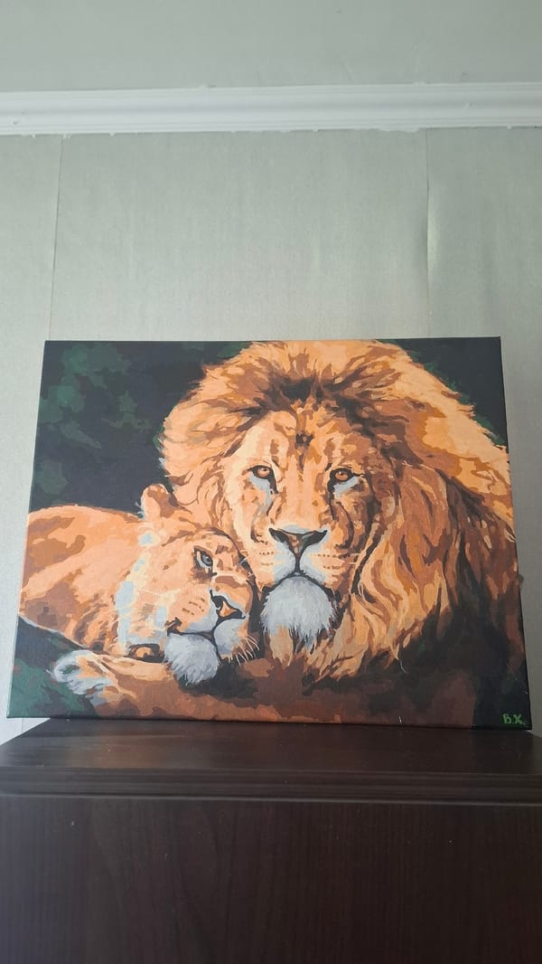 Animal artwork and pet portraits observed in morning timeframe