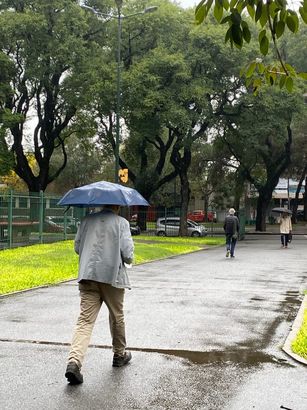 Rainy afternoon documented at Buenos Aires park with monuments
