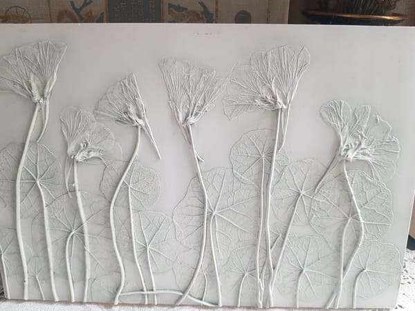 Coffee and botanical art captured in Saint Petersburg afternoon