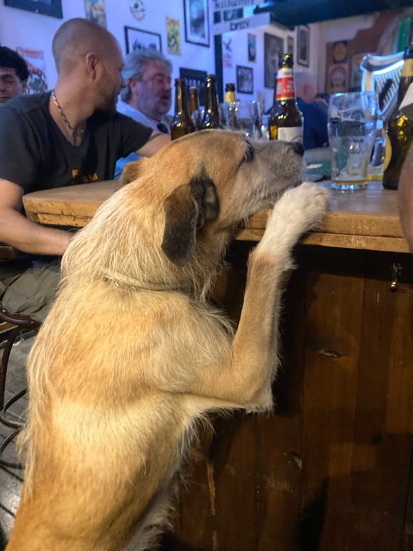 Evening scenes from Barcelona bar captured by witness
