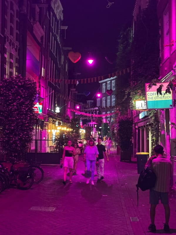 Amsterdam street lit up in pink during a Pride celebration